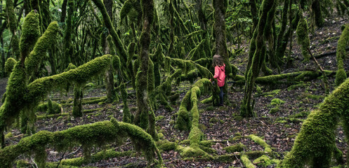 petite fille seule perdue dans les bois