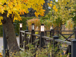 autumn in the garden