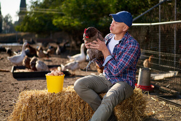 Countryman holding brown chicken in hands in hen house