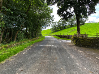 Old trees, overshadowing Mark Hill Lane, with moss covered dry stone walls, and sloping green fields in Lothersdale, UK