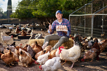 male worker in ecological chicken farm