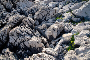 Highly jagged limestones with individual green plants as texture or background