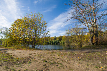 Pond in the park on a sunny day in autumn