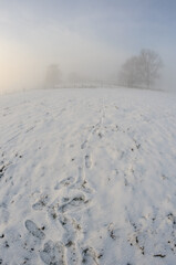Winter landscape. Rising sun obscured by mist. Footprints of shoes in the snow
