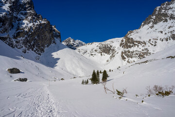 Winter landscape of the Slovak High Tatras. Small Cold Valley.