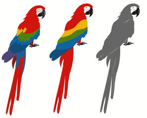 Ara Parrot. Macaw exotic Bird. Tropical animal. Vector