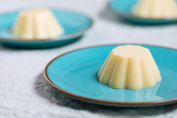 Vanilla pudding on blue porcelain plate with chocolate crumbs on top. Bright background