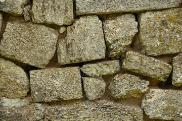 Shell rock wall, stone background close up