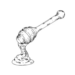 Wooden honey stick hand drawn illustration in hatching style. Isolated vector.