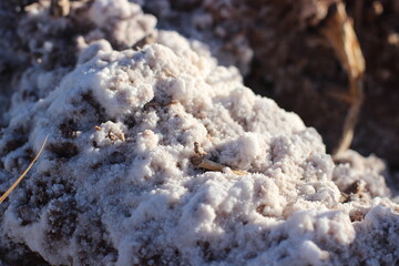 textura, fragmentos de sal