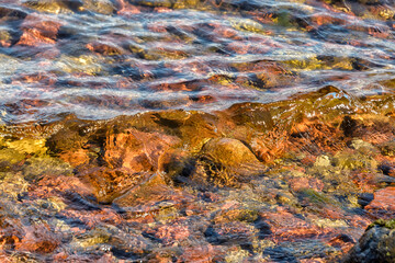 Multi-colored bottom of Lake Ladoga with clear water.