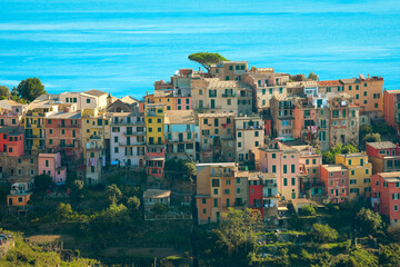 Fototapeta na wymiar panoramic view of Riomaggiore colorful village, Cinque Terre, Italy