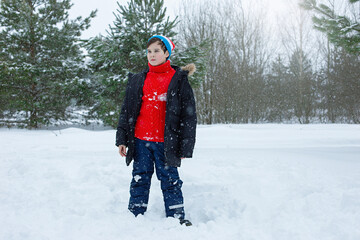Fototapeta na wymiar A cute teenage boy in a winter park