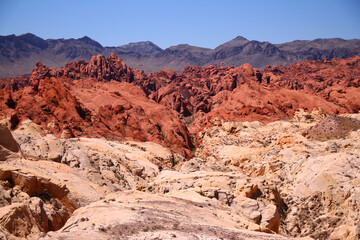 The landscape of various red and pink rocks with the mountains on the back
