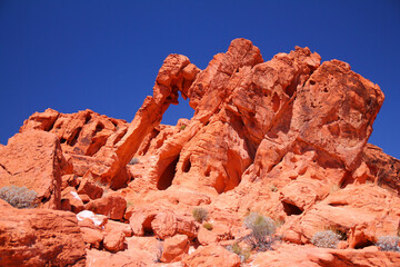 The Elephant shape rock in a full sunny day in the Valley of Fire State Park