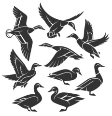 Stylized Birds - Wild Duck - Mallard