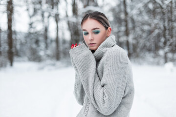 Stylish beautiful young woman model in a vintage gray knitted sweater in the snowy forest on a cold winter day