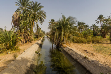 Irrigation canal by the river Nile, Egypt