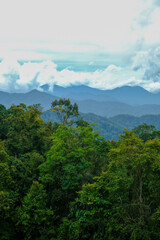 Fototapeta na wymiar Beautiful tropical mountain view which is located in Fraser's Hill, Pahang, Malaysia