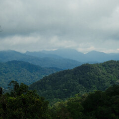 Obraz premium Beautiful tropical mountain view which is located in Fraser's Hill, Pahang, Malaysia