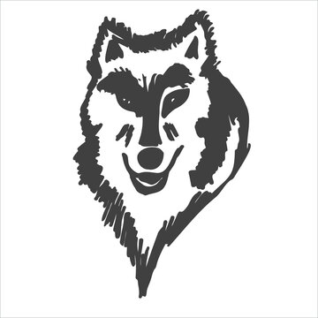 hand drawn wolf. The image is isolated on a white background. Vector graphics