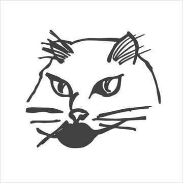 Hand drawn cat. The image is isolated on a white background. Vector graphics