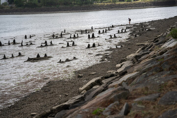 Les magnifiques forêt de la baie James au canada