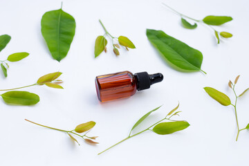 Eucalyptus essential oil bottle with leaves on white background.