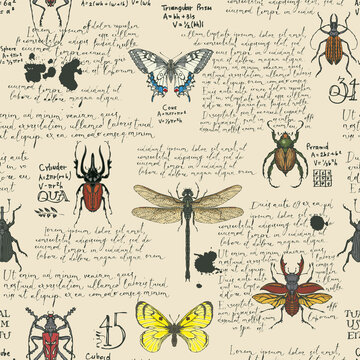 Vector seamless pattern with handwritten text Lorem Ipsum and various insects. Hand-drawn colored butterflies, beetles, dragonfly on an old paper background. Wallpaper, wrapping paper or fabric design