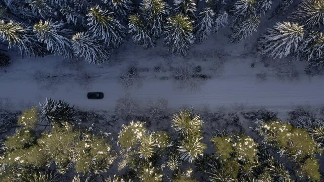 Winter snow road road in forest. Follow vehicle aerial mid shot. Riding car on a winter road. Drone chase view of winter driving at forest. Aerial pursuit. Drive through idyllic woods in picturesque.