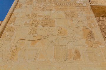 Wall decorations of the Temple of Hatshepsut at the Luxor's West bank, Egypt