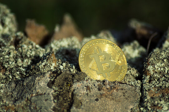 moneda bitcoin dorada sobre lecho de rocas