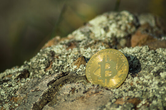 moneda bitcoin dorada sobre lecho de rocas