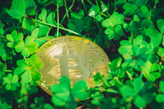 bitcoin ecol&oacute;gico entre tr&eacute;boles