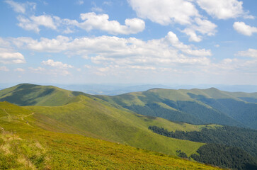 Picturesque landscape of a mountain range densely covered with lush green grass under a blue sky with clouds on a summer day. Carpathians, Ukraine