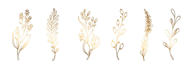 Golden leaves on a white background. Line art. Branches, handmade grass. Vector illustration. For greeting cards and invitations for wedding, birthday, Valentine s Day, Mother s Day and others.