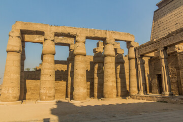 Columns at the Luxor temple, Egypt