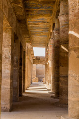 Columns of the Festival Hall of Thutmose III in the Karnak Temple Complex, Egypt