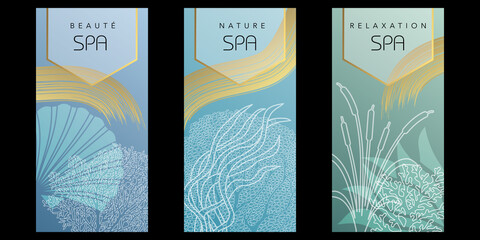 Série de 3 flyers pour un établissement de spa avec un graphisme d’ambiance aquatique aux couleurs douces bleu et or.
