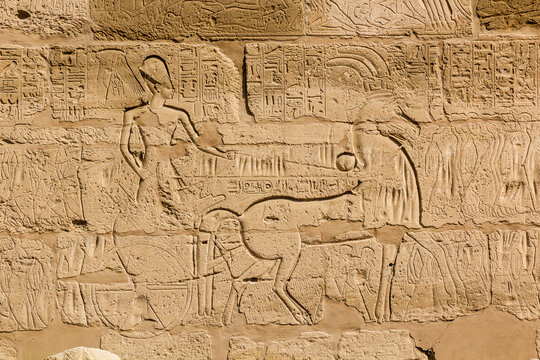 Hieroglyphs in the Karnak Temple Complex, Egypt