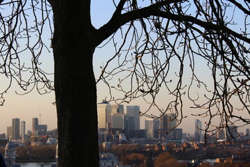 Sunset in Greenwich Park, London