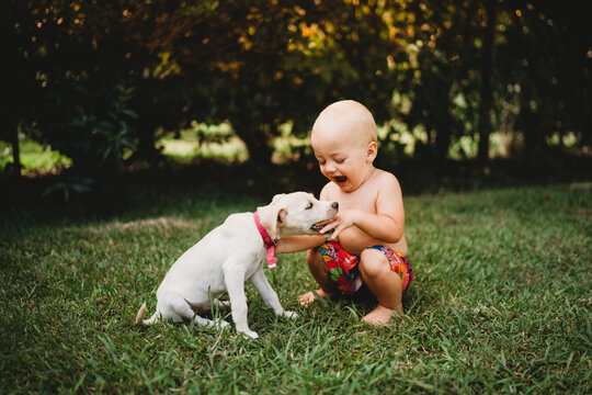 Cute Puppy Biting Baby's Little Hand In Backyard In Summer