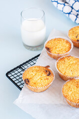 Homemade easy muffins with chocolate chips and glass of milk on cooling rack.