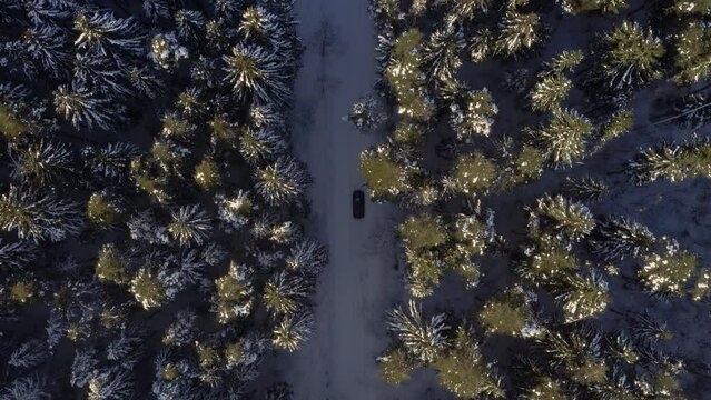 Winter snow road road in forest. Follow vehicle aerial mid shot. Riding car on a winter road. Drone chase view of winter driving at forest. Aerial pursuit. Drive through idyllic woods in picturesque.