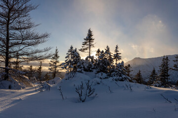 Sortie au parc de la Gaspésie mont-olivine
