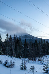 Sortie au parc de la Gaspésie mont-olivine
