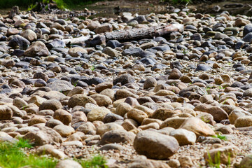 riverbed stones