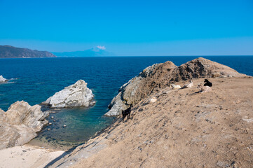 Fototapeta na wymiar Small bay with rocks and beach in Pena island - Amouliani, Chalkidiki, Greece