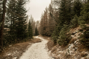 Fototapeta na wymiar Le parc national des dolomites en italie en hiver