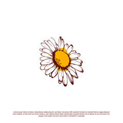 Hand drawn beautiful sunflower vector illustration © restu